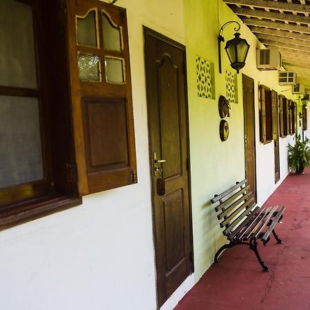 Paracauary Ecopousada ซาลวาแตร์รา ภายนอก รูปภาพ